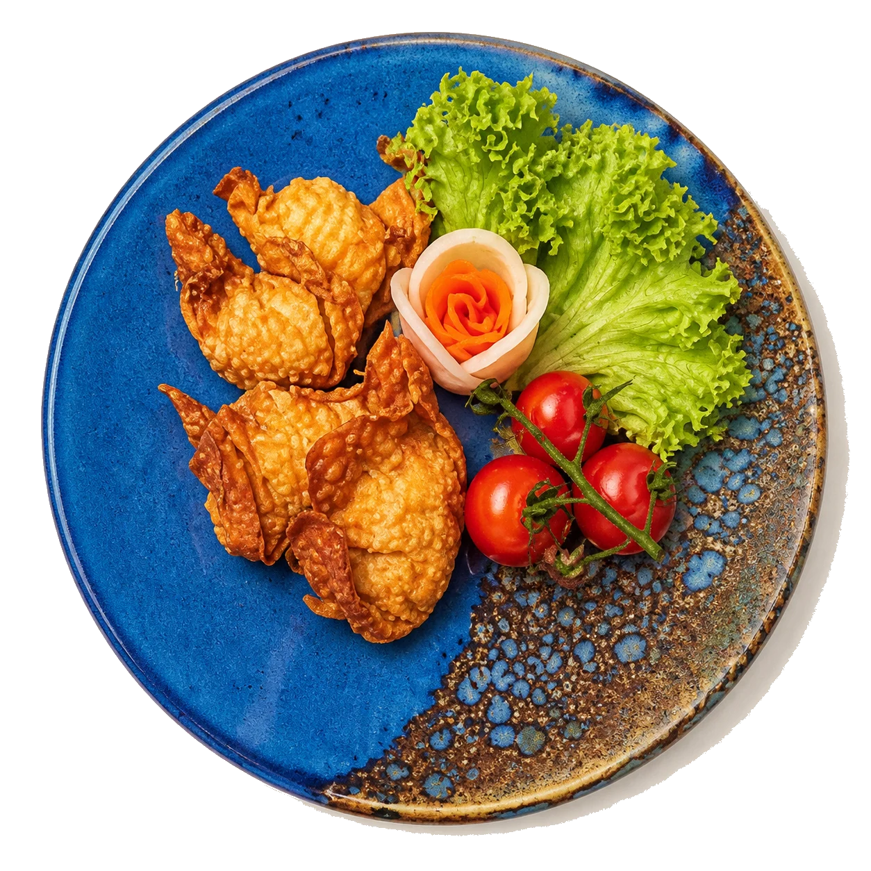Wantan Chien